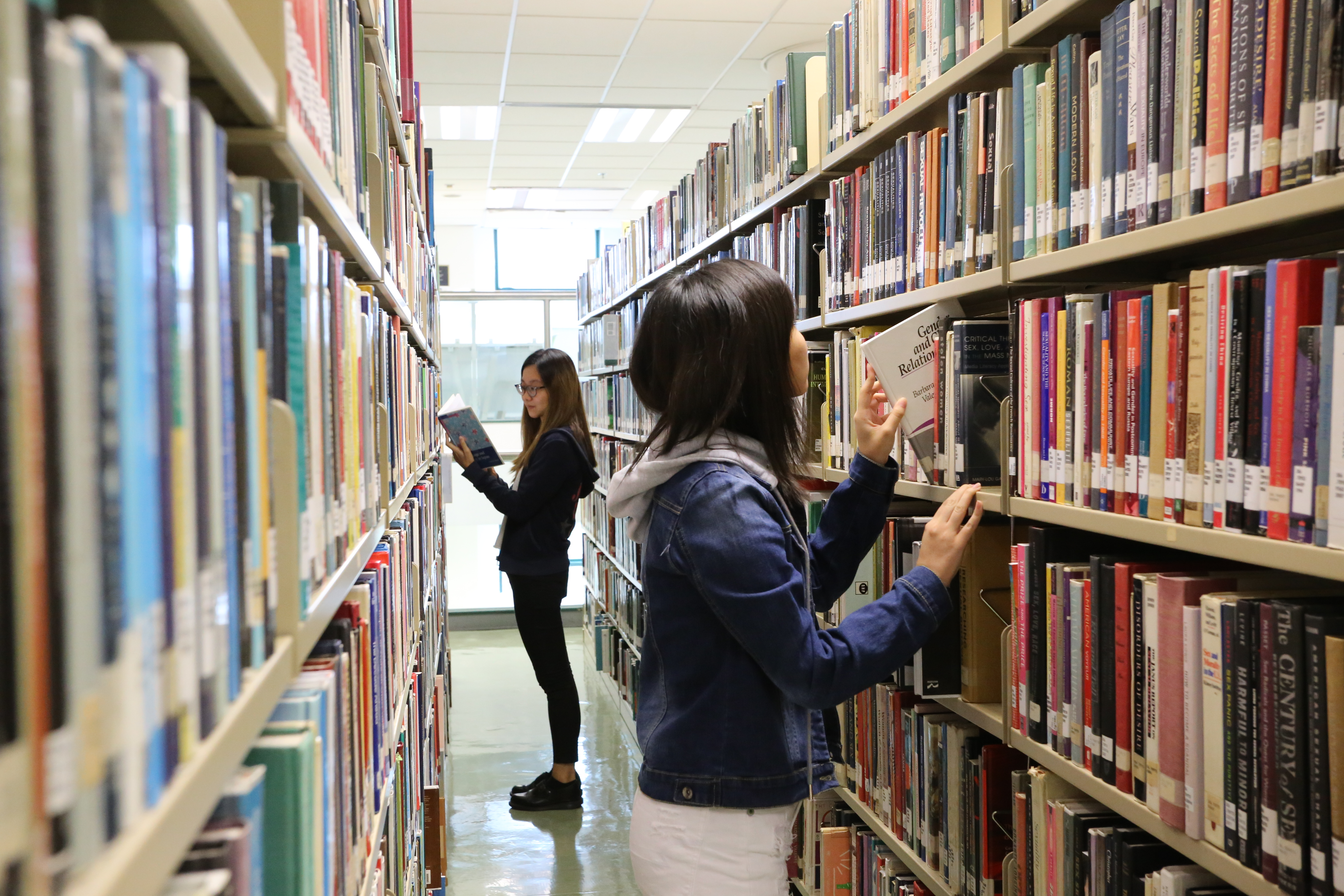 Main Library - Book Collection